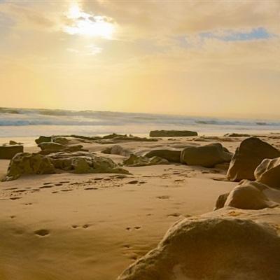 星空官方网站入口